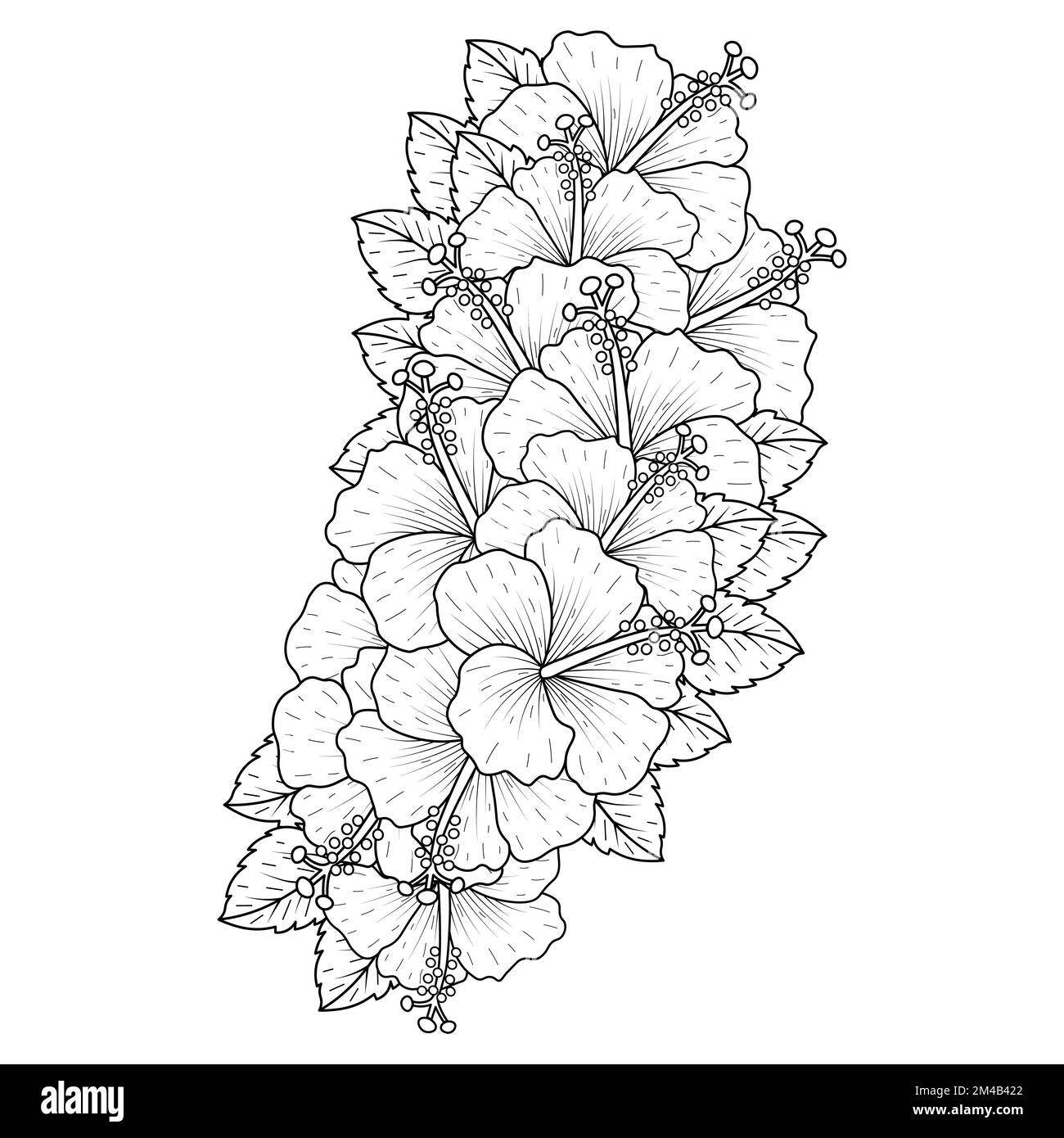 common hibiscus flower outline blossoming petal or rose mallow flowers coloring page Stock Vector