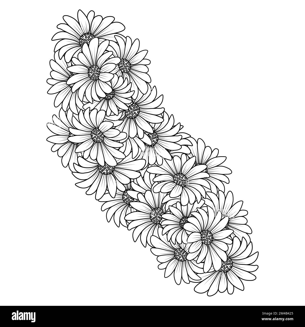 blossom daisy flower simplicity sketchy with artistic illustration on isolate background Stock Vector