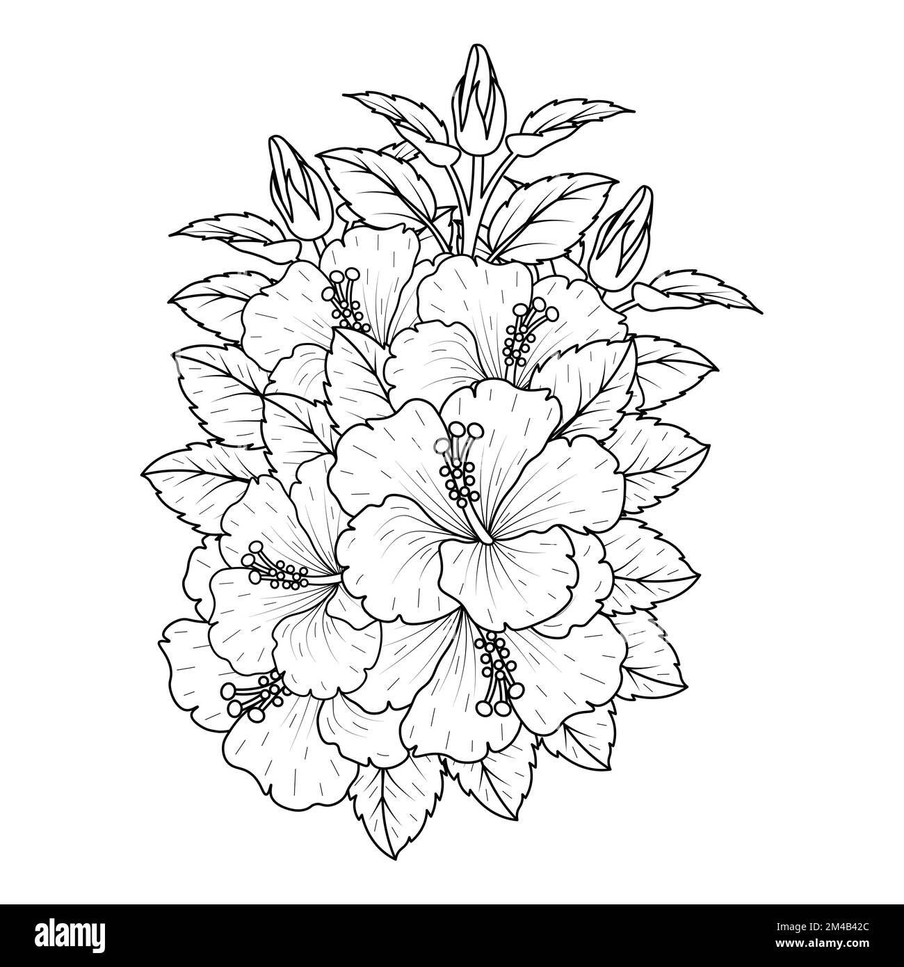 common hibiscus flower outline blossoming petal or rose mallow flowers