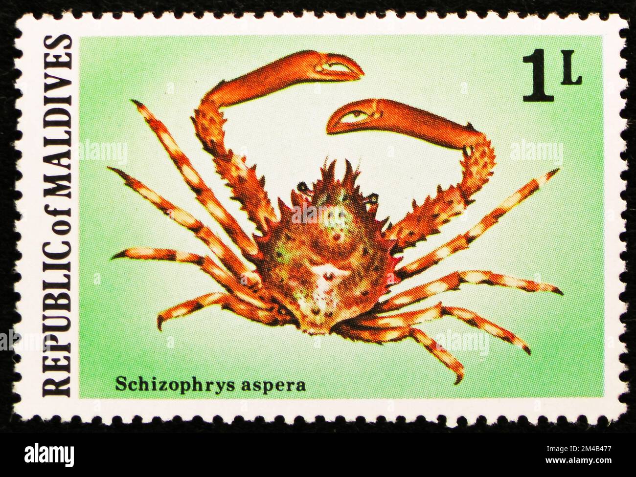 MOSCOW, RUSSIA - OCTOBER 29, 2022: Postage stamp printed in Maldives shows Common Decorator Crab (Schizophrys aspera), Maldivian Crabs and Lobster ser Stock Photo