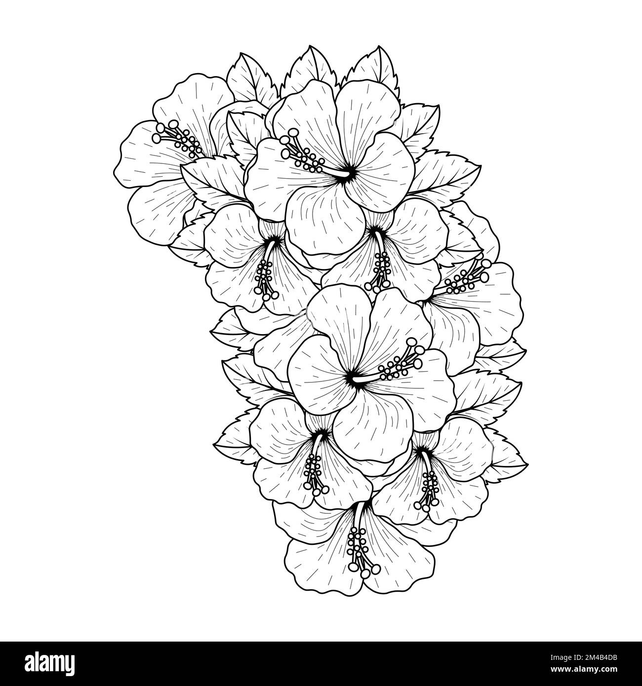 common hibiscus flower outline blossoming petal or rose mallow flowers