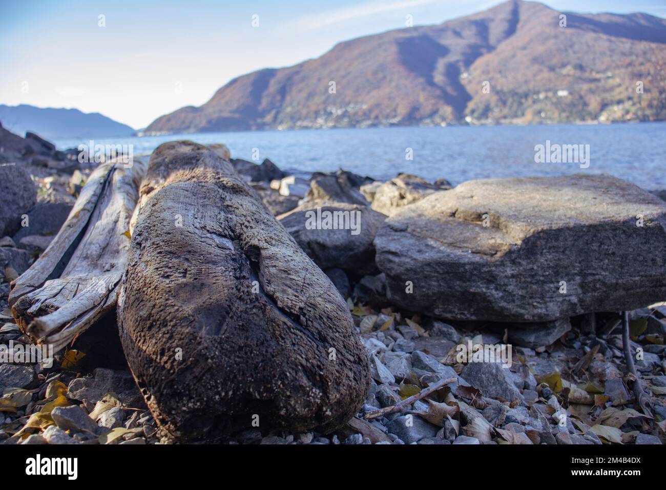 Low Angle View of Gravel beach with tree trunks on Maggiore Lake. Luino, Italy Stock Photo