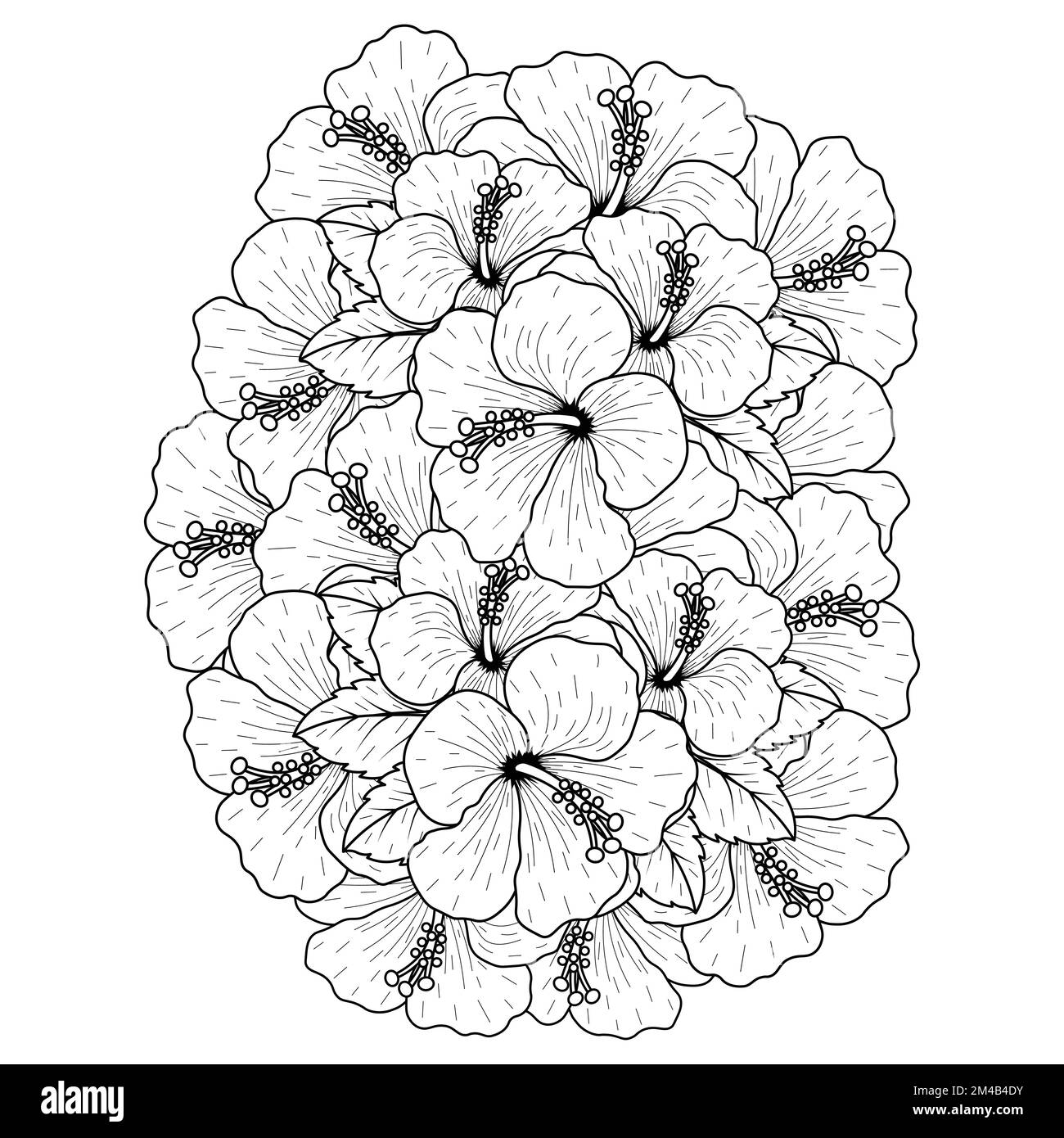 common hibiscus flower outline blossoming petal or rose mallow flowers coloring page Stock Vector