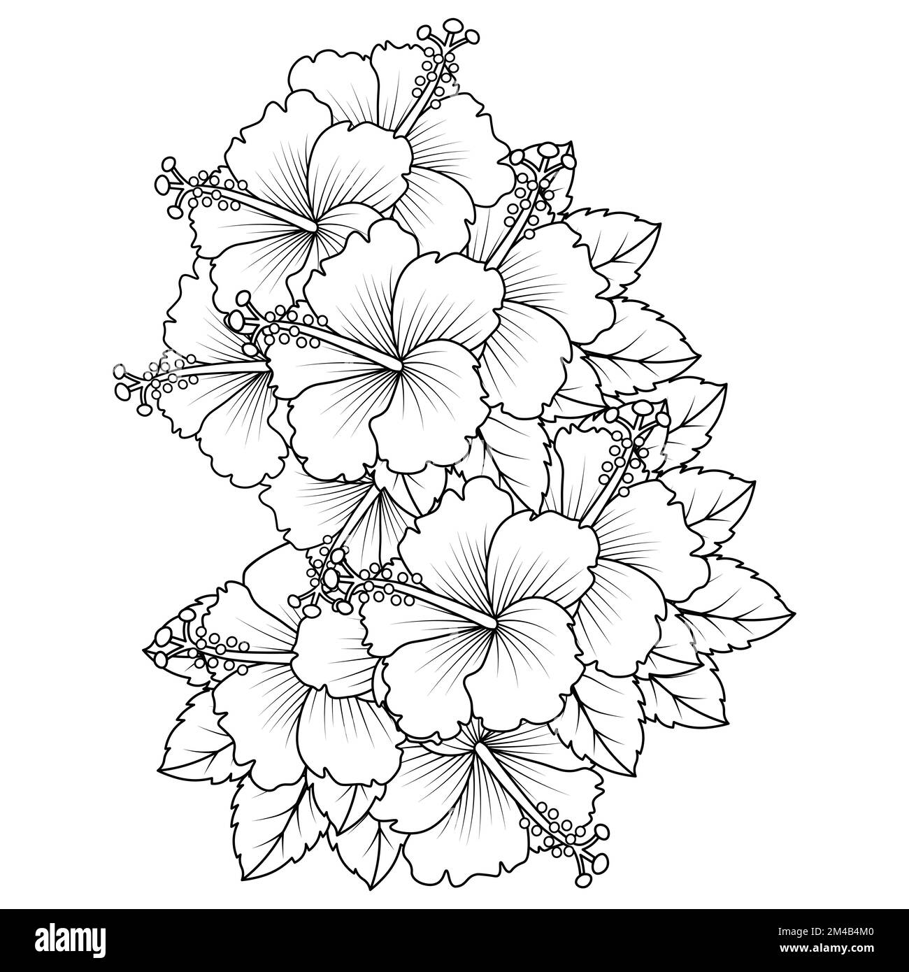 common hibiscus flower outline blossoming petal or rose mallow flowers