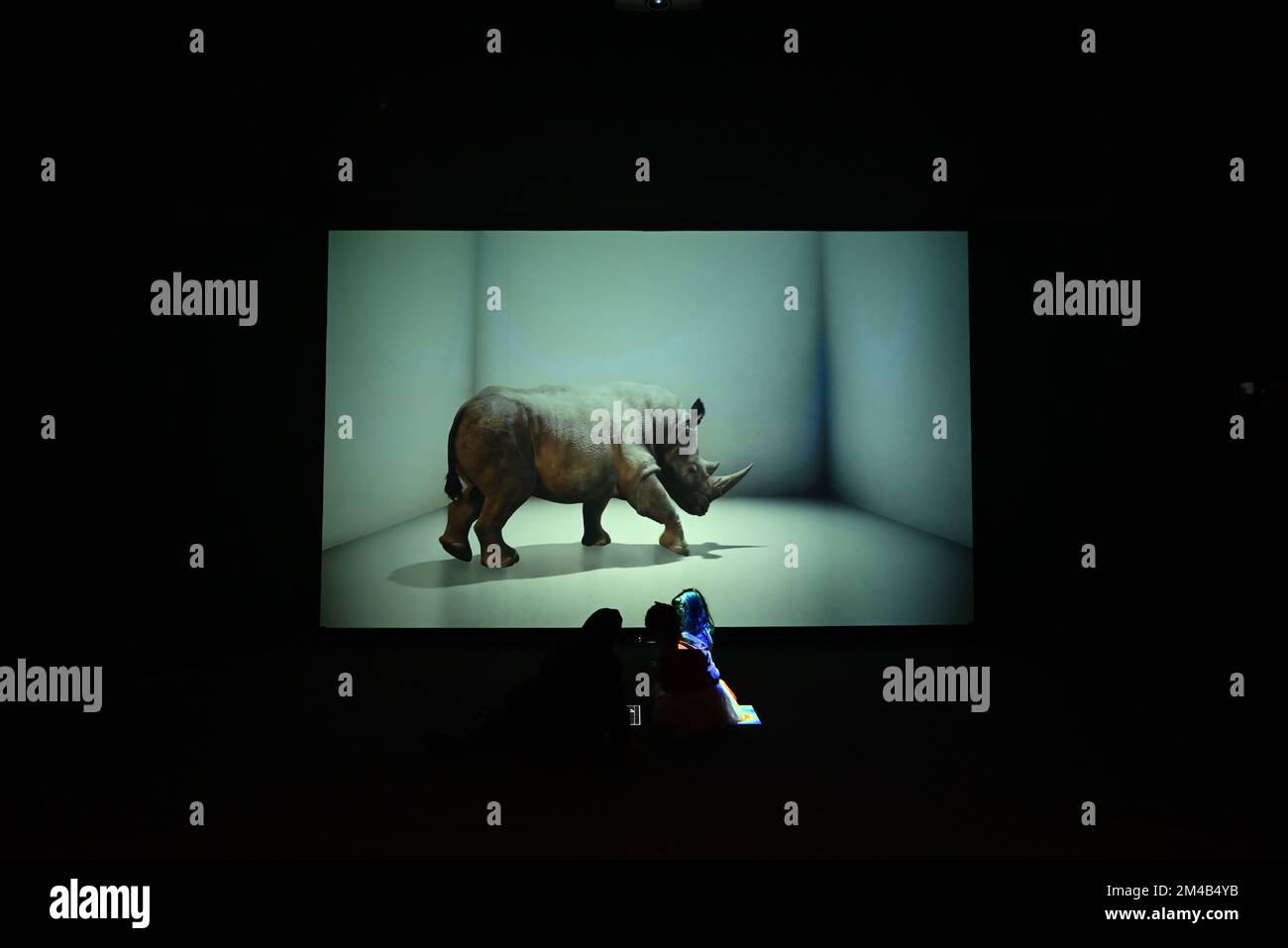 The Substitute, a video installation by artist Alexandra Daisy Ginsberg that brings visitors face-to-face with a digitally recreated, life-sized northern white rhino. With the subspecies nearly extinct, this piece explores the paradox of our preoccupation with creating new life forms, while neglecting existing ones. There are only 2 females left in the World once they die this species will become extinct ... Stock Photo