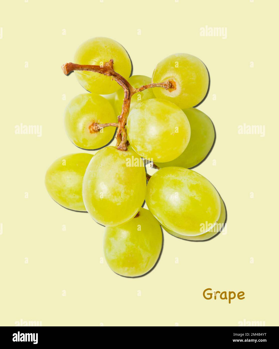 bunch green grapes macro on green background with hard shadow. Top view