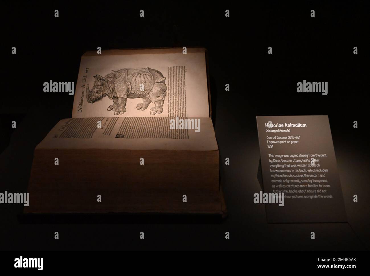 The Substitute, a video installation by artist Alexandra Daisy Ginsberg  that brings visitors face-to-face with a digitally recreated, life-sized  northern white rhino. With the subspecies nearly extinct, this piece  explores the paradox