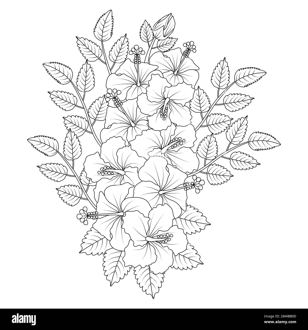 hibiscus flowers coloring page illustration with hawaiian hibiscus leaves and outline rose of sharon Stock Vector