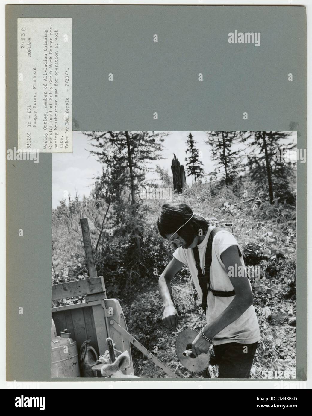 Thinning - Montana. Photographs Relating to National Forests, Resource Management Practices, Personnel, and Cultural and Economic History Stock Photo