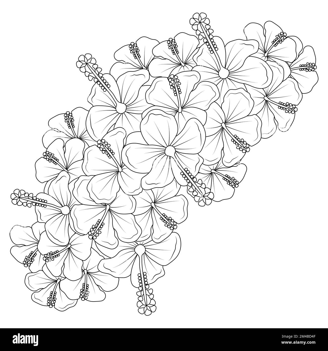 hibiscus syriacus flower or common hibiscus flower coloring page of ...