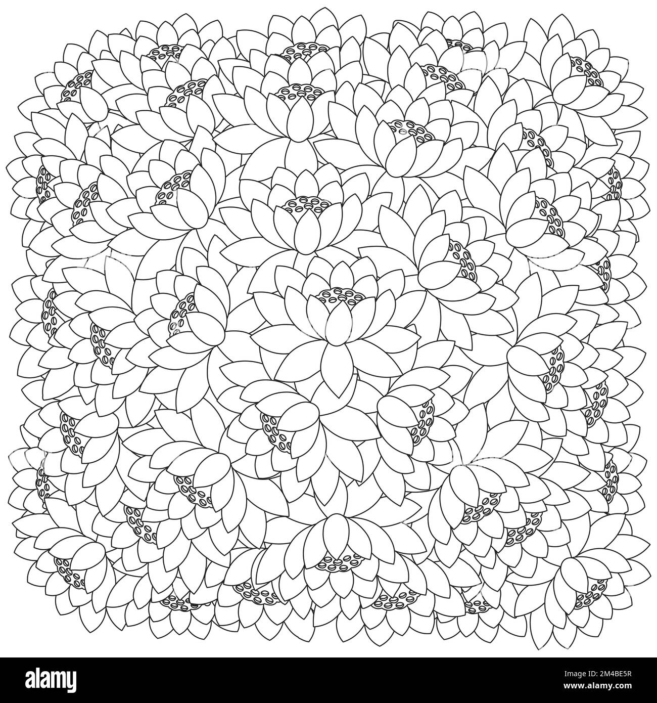 lotus flower coloring page of simplicity artistic drawn with blossom flower on isolated background Stock Vector