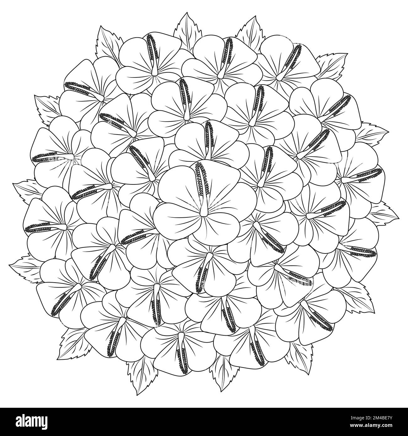 hibiscus syriacus flower or common hibiscus flower coloring page of ...