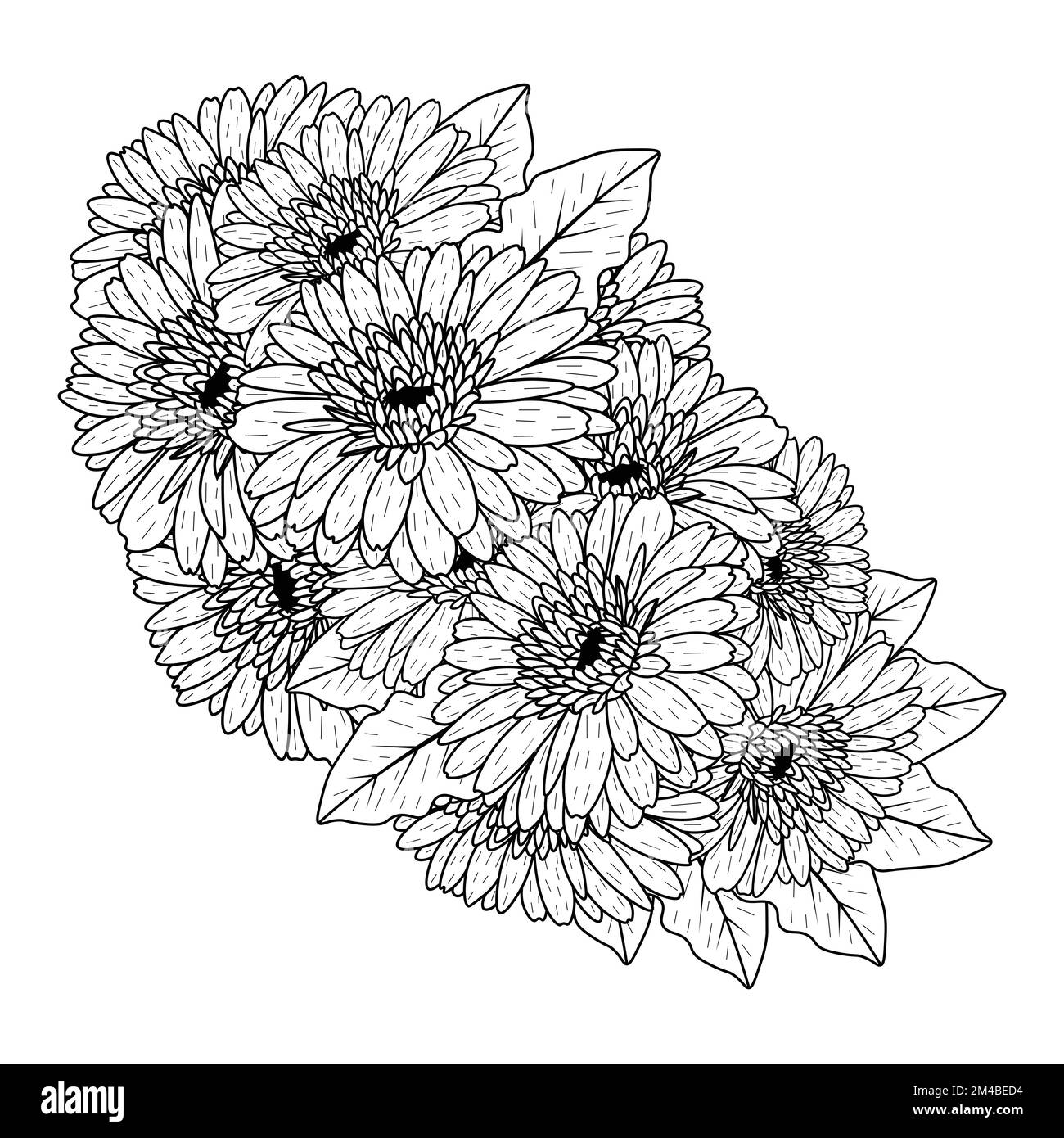 beautiful flowers of gerbera daisy coloring page drawing detailed in