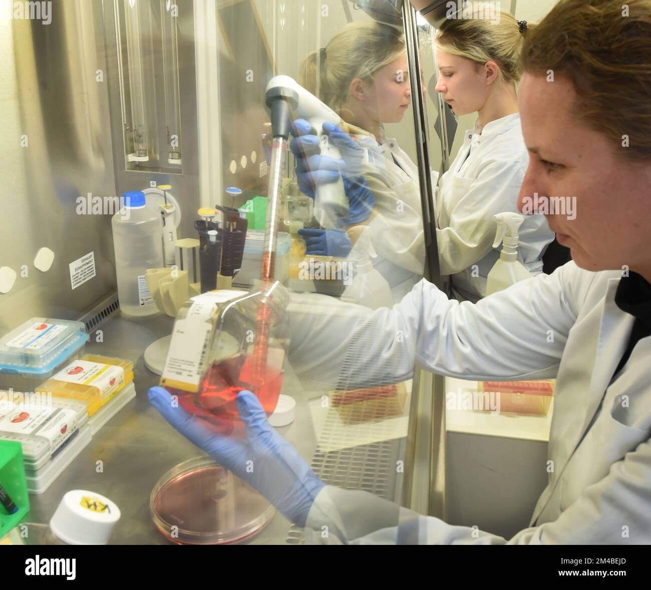 19 December 2022, Saxony, Leipzig Biologist Kathrin Landgraf works on a cell culture experiment