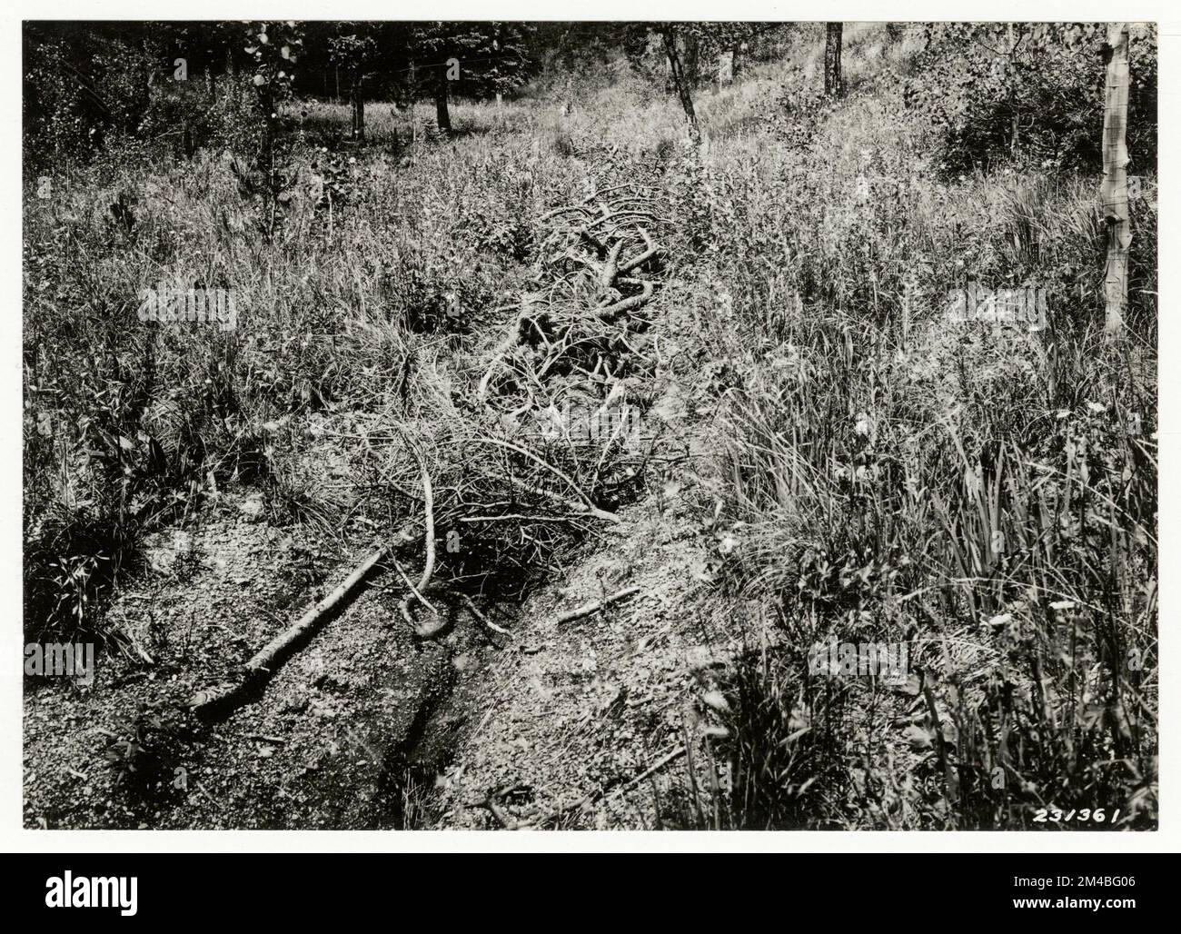Erosion Control: Gully Plug - Colorado. Photographs Relating to ...