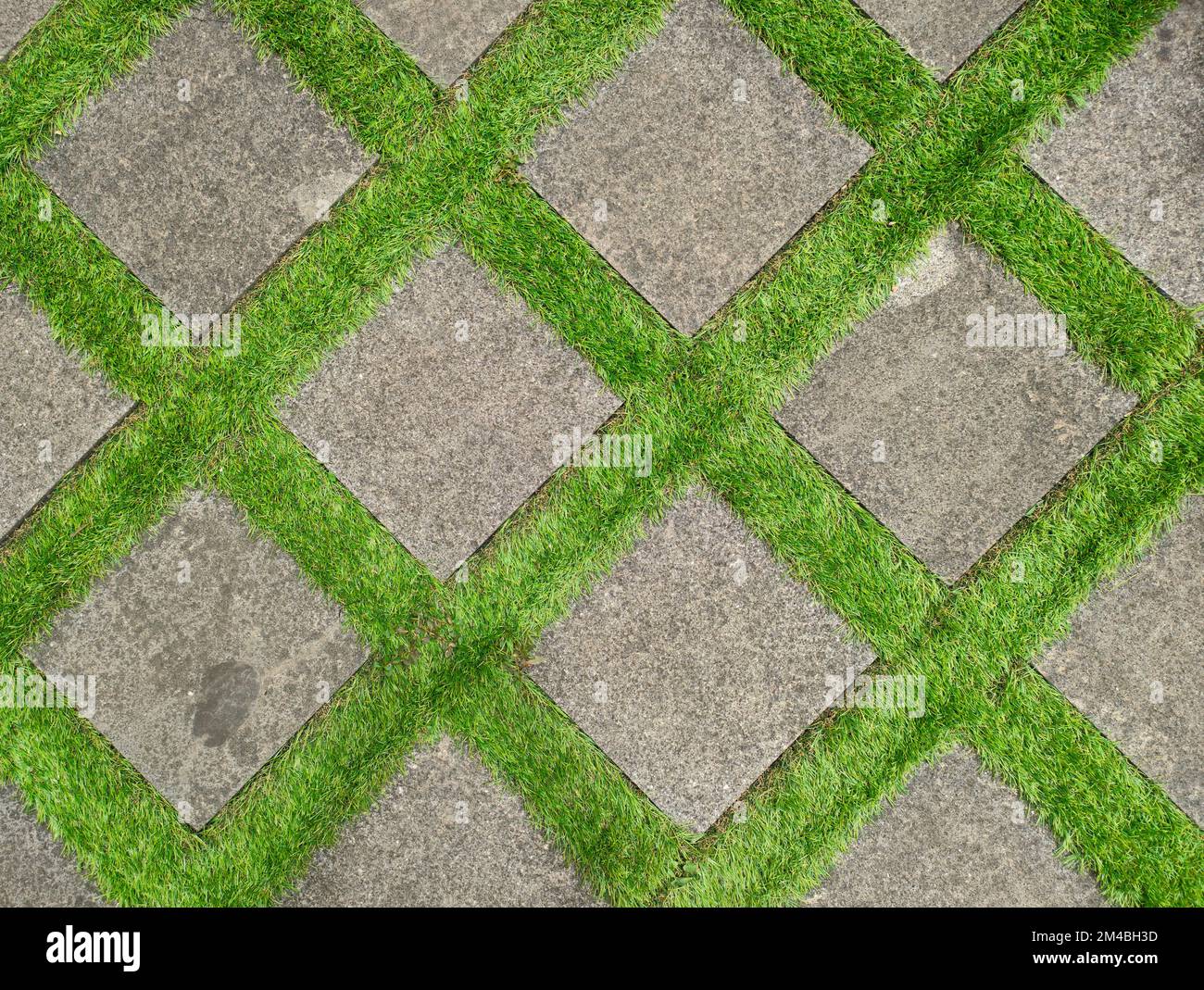 Flat lay shot of tile pavement close-up with artificial green grass diagonal. Abstract background texture. Stock Photo