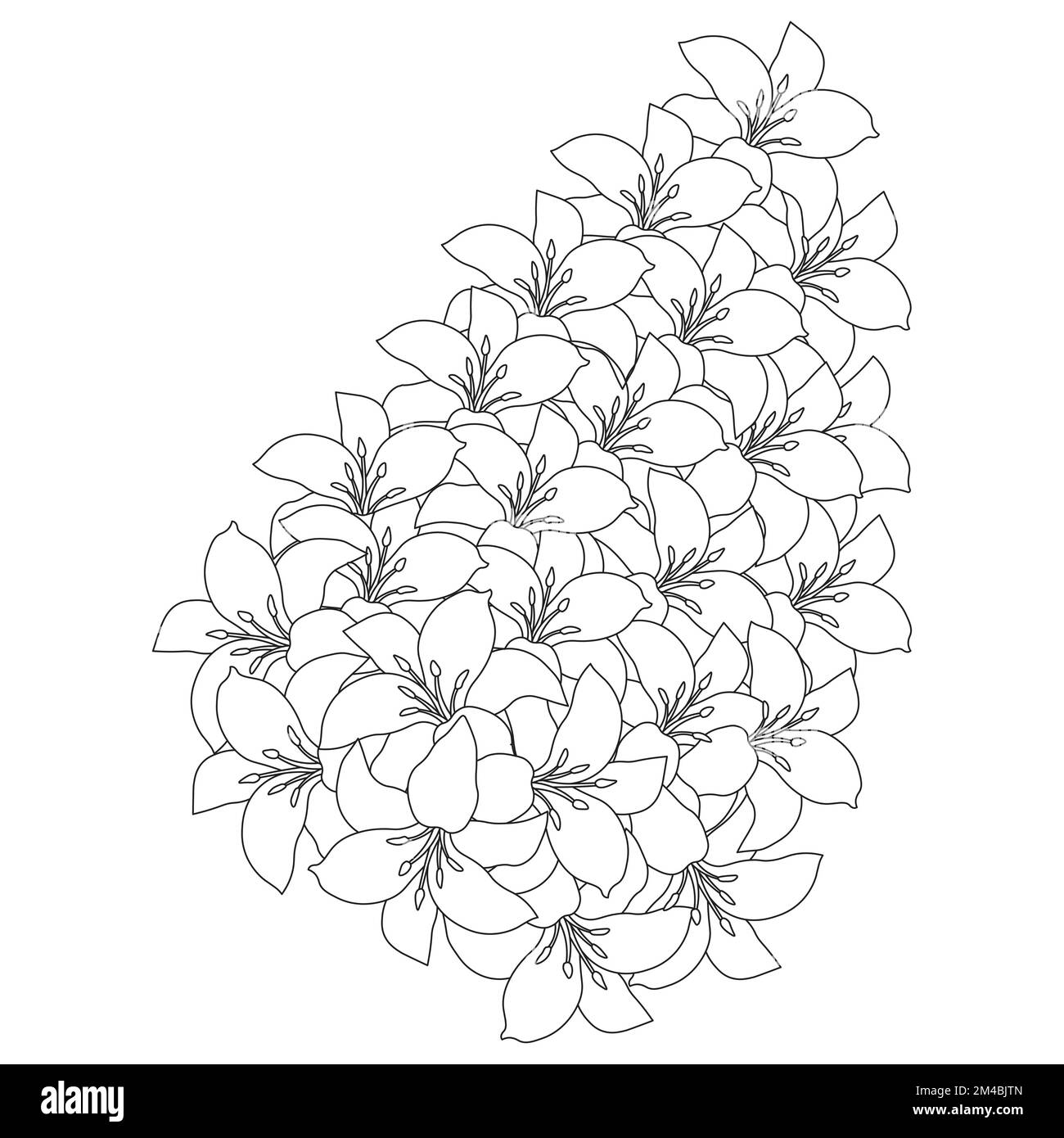 lily flower and lilium flower coloring page outline decorative line art ...