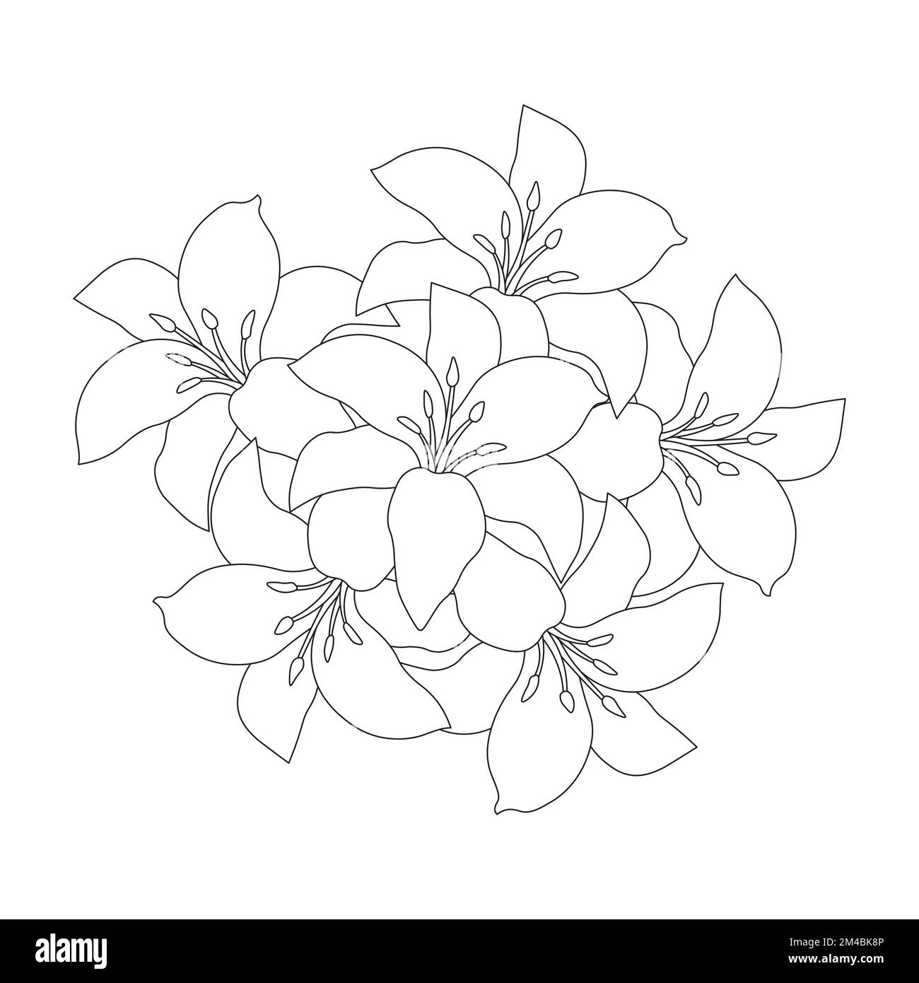 lily flower and lilium flower coloring page outline decorative line art