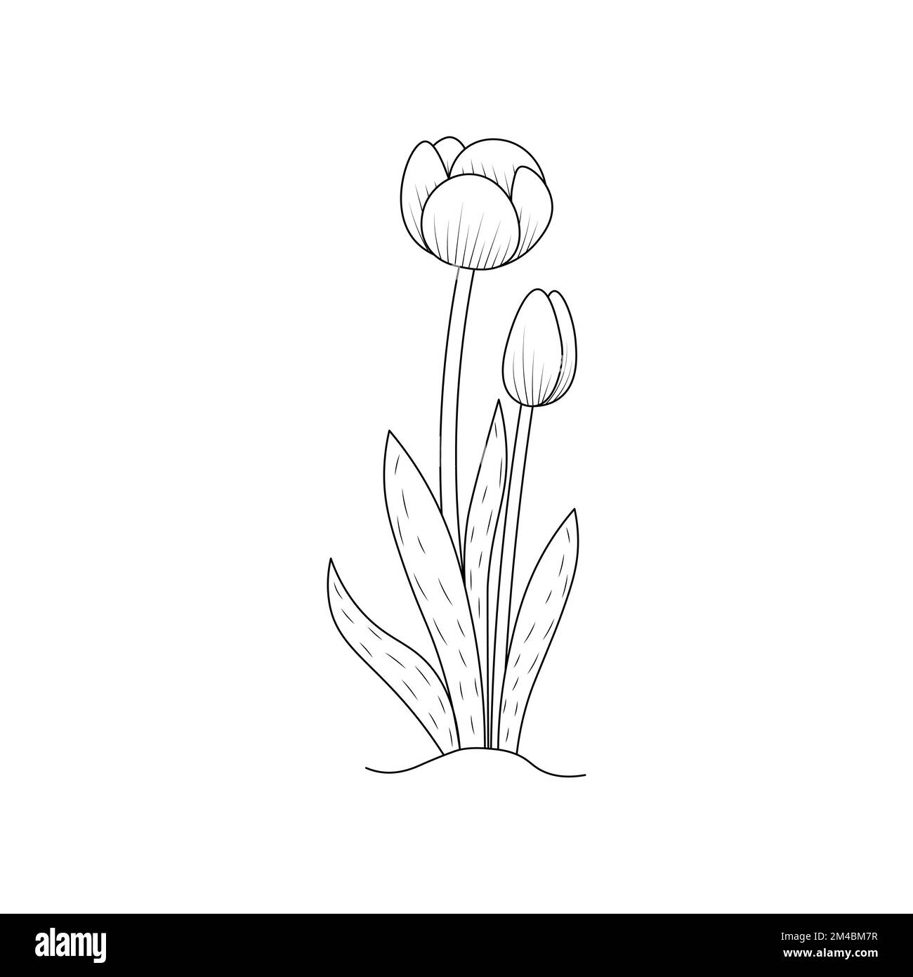 tulip flower coloring page design for book printing template continuous black stroke Stock Vector