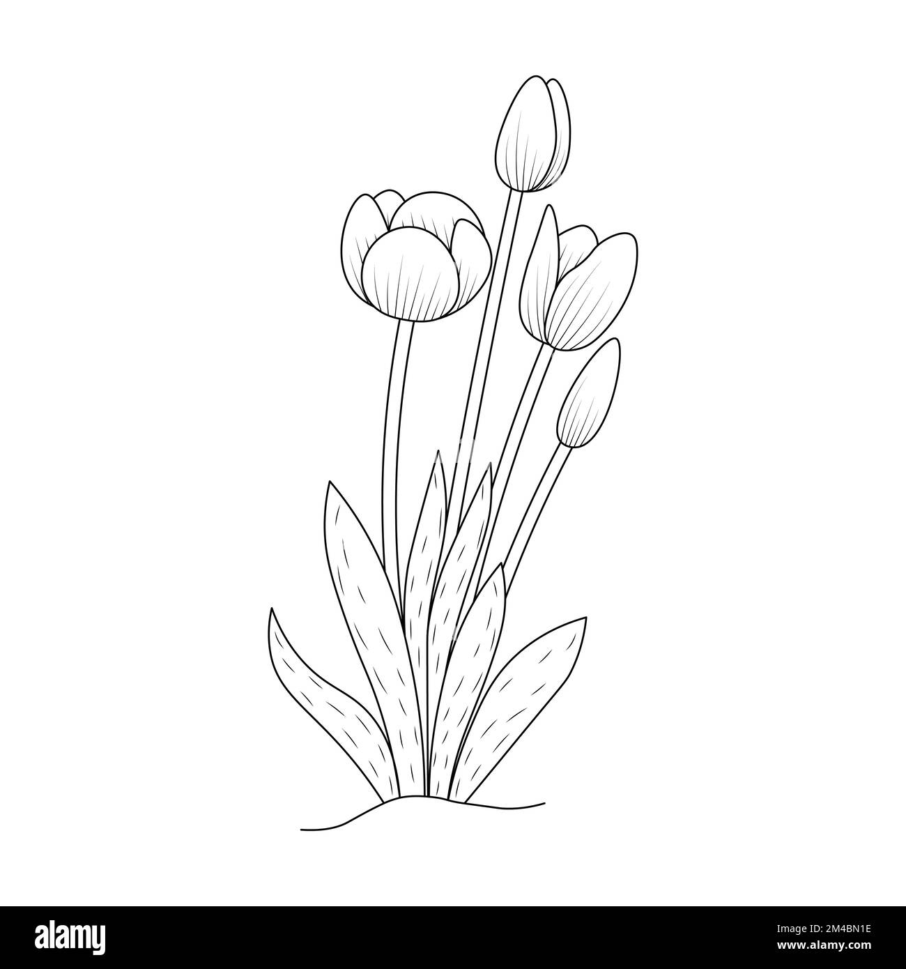 tulip flower coloring page design for book printing template continuous black stroke Stock Vector