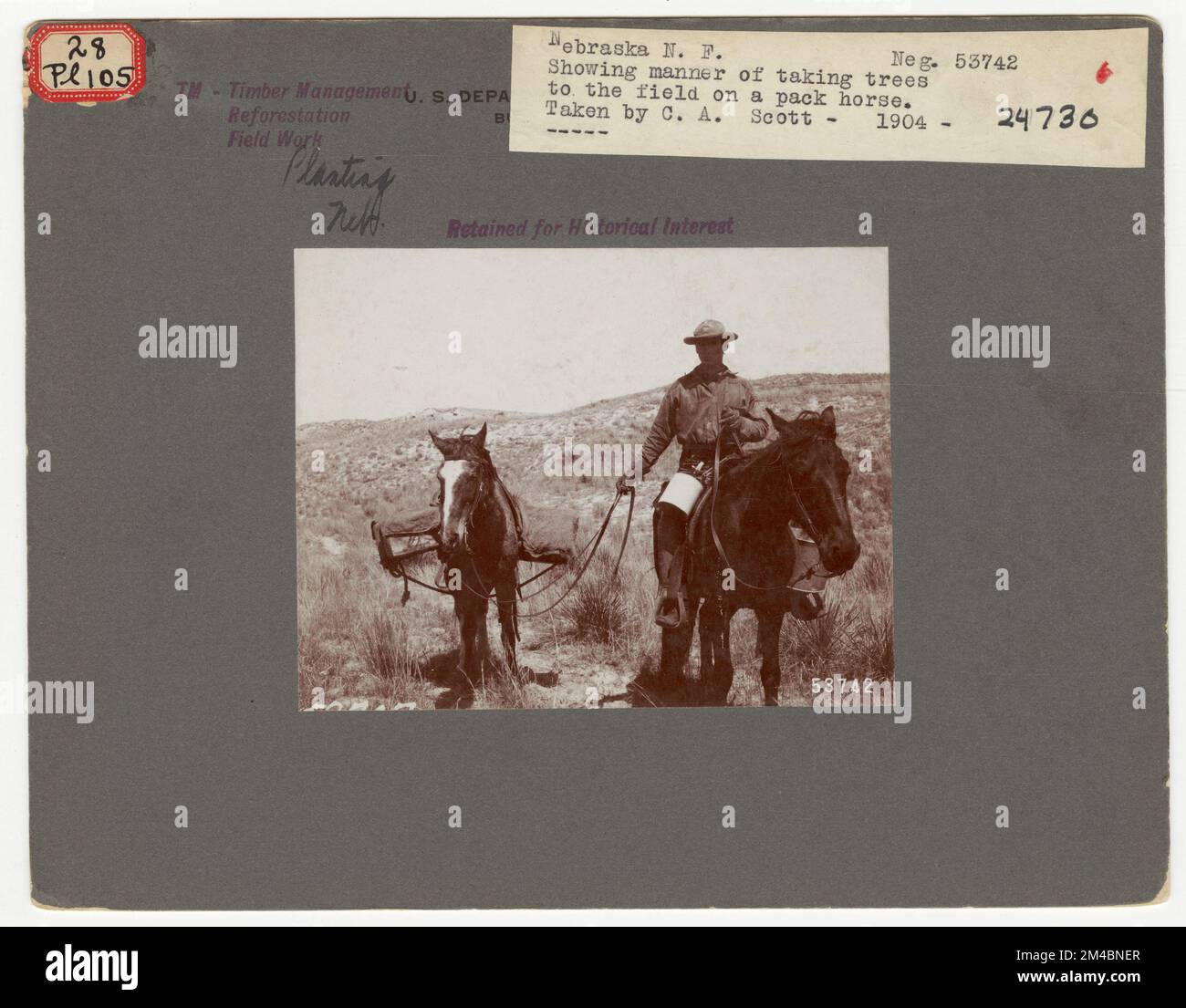 Reforestation Plantations Nebraska. Photographs Relating to National