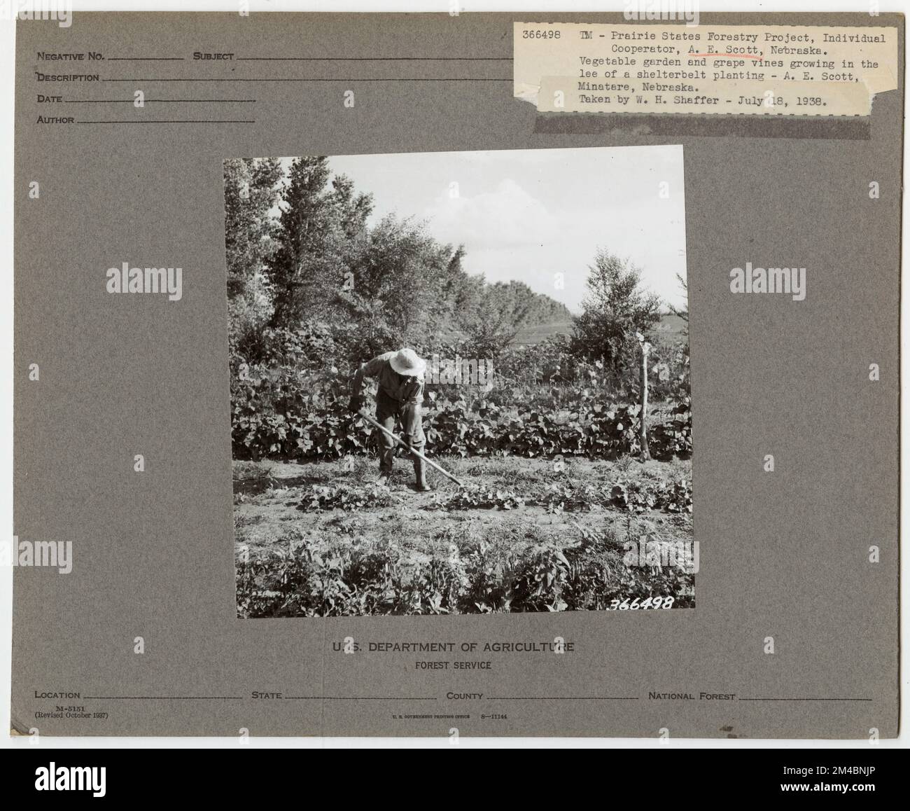 Shelterbelts Windbreaks Nebraska. Photographs Relating to National