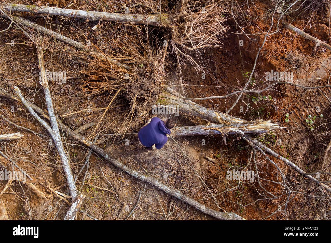 Man utility service cutting down broken trunk of tree with chainsaw ...