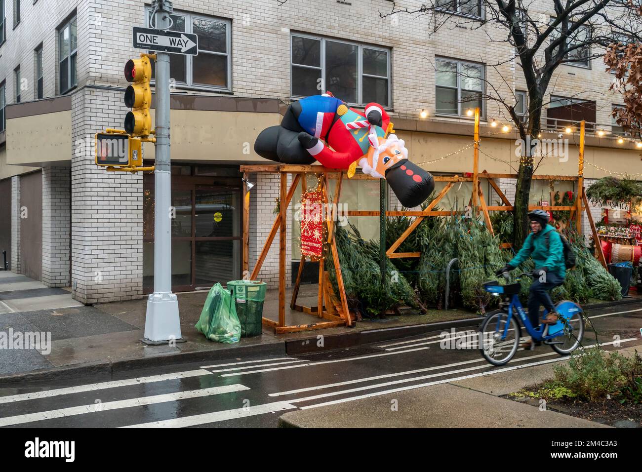 A deflated inflatable guards over a Christmas tree sellerÕs forest in the Chelsea neighborhood of New York on Friday, December 16, 2022.  (© Richard B. Levine) Stock Photo