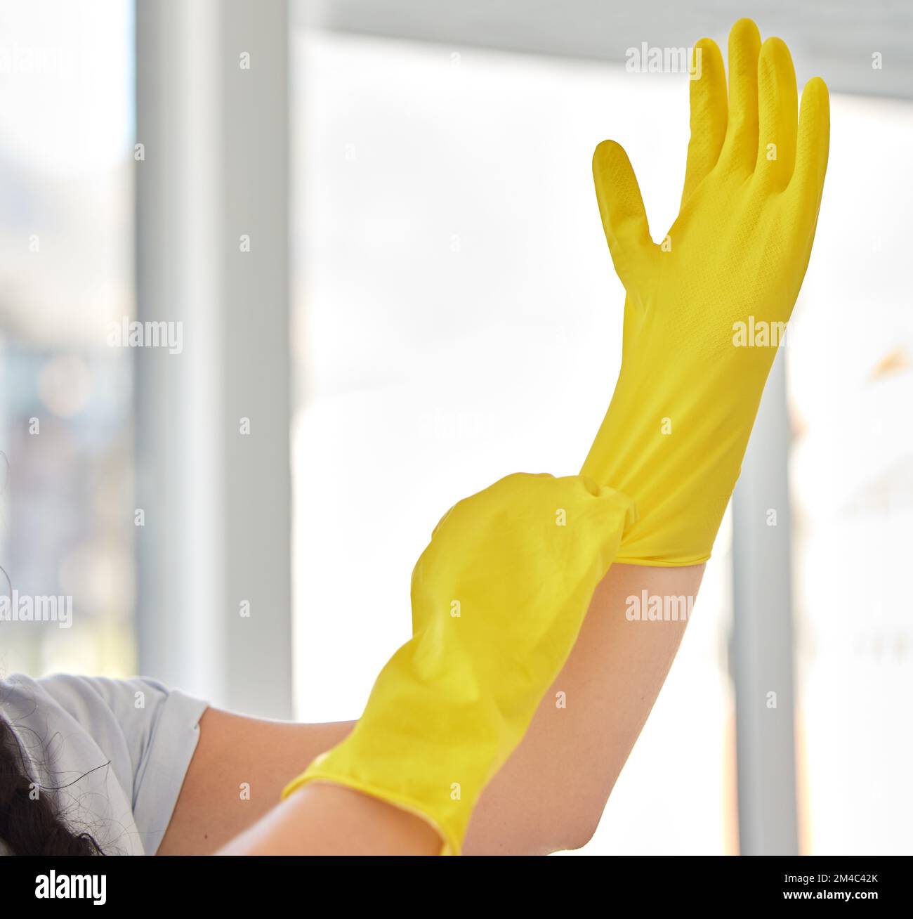 Hands, woman and gloves for cleaning home, hygiene and wellness. Cleaning service, spring cleaning and female ready to start work, sanitize and Stock Photo