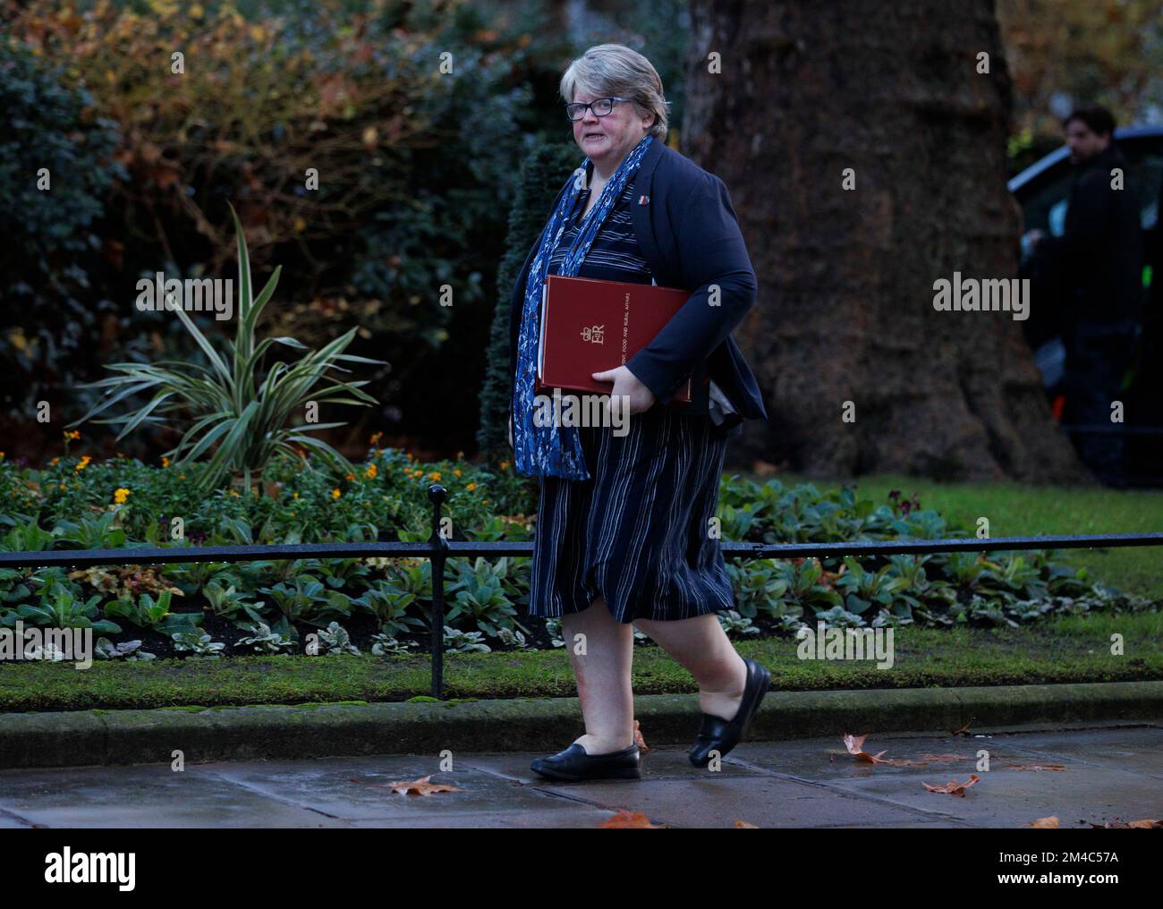 London, UK. 20th Dec, 2022. Therese Coffey, Secretary of State for Environment, Food and Rural Affairs, in Downing Street for a Cabinet meeting. Credit: Mark Thomas/Alamy Live News Stock Photo