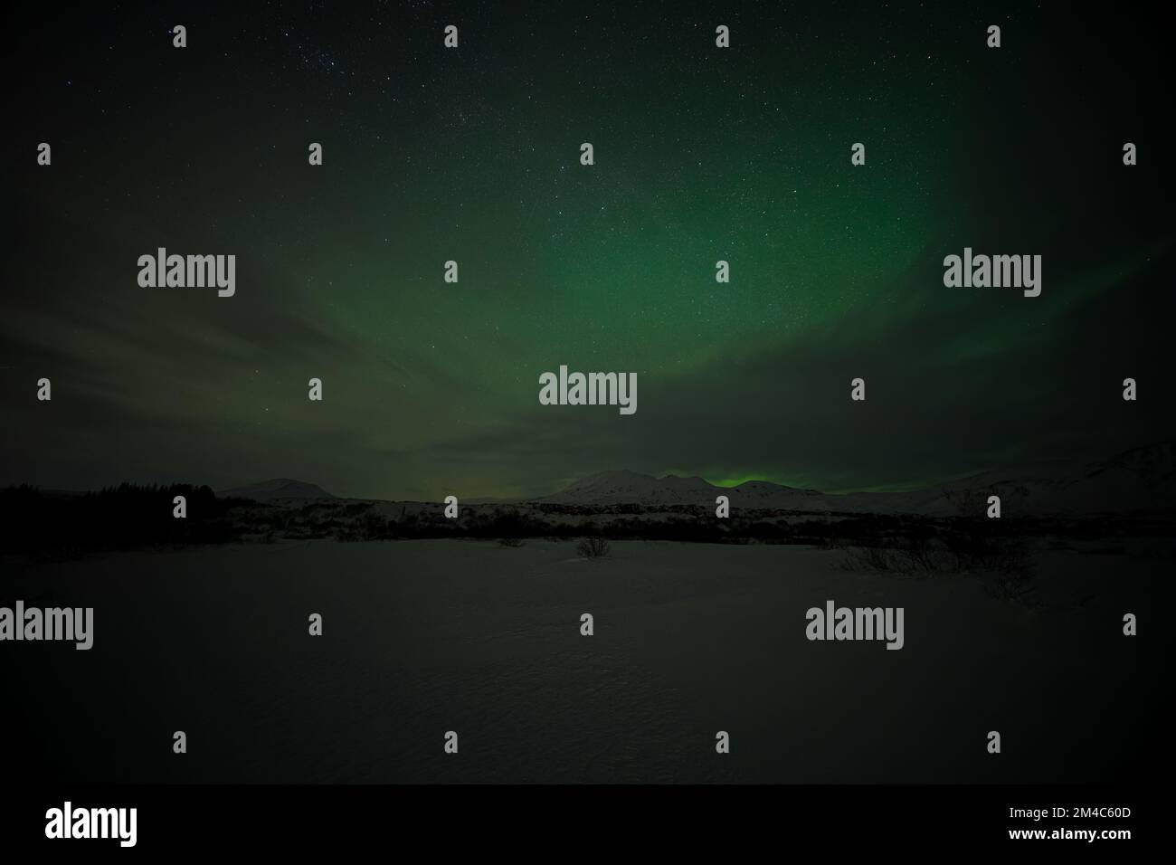A breathtaking view of green Northern lights in starry sky at night ...