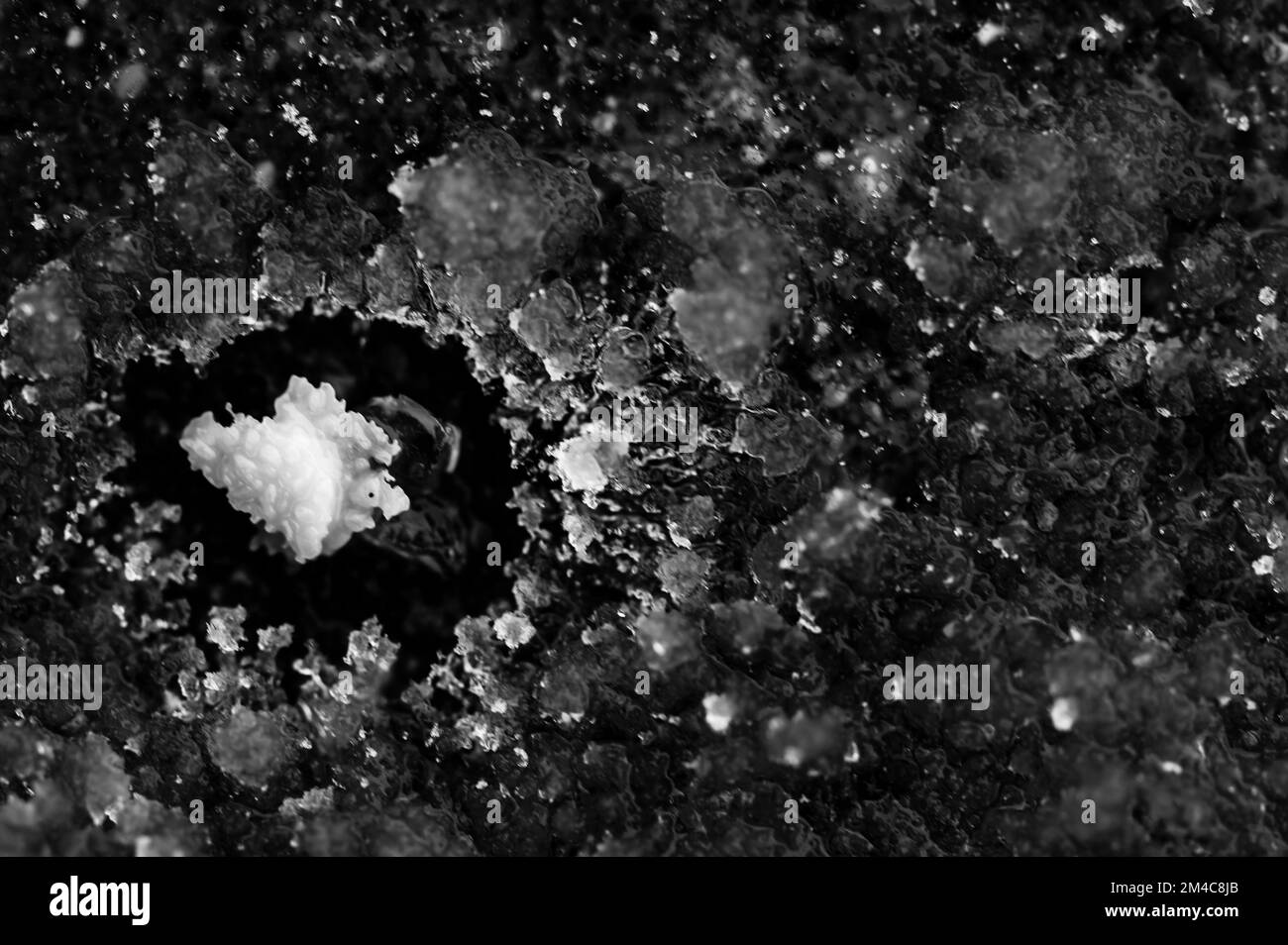 macro above view of a single rock salt icemelt on concrete with a