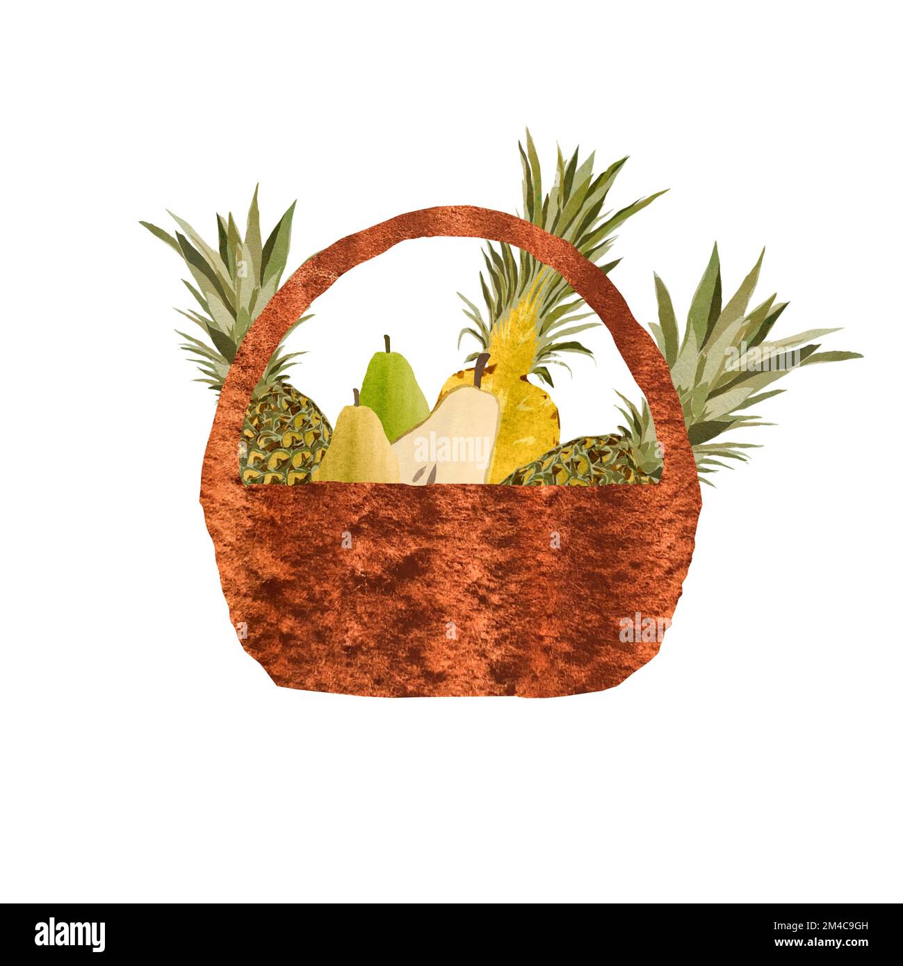 Pineapple pear fruit half basket brown watercolor Stock Photo