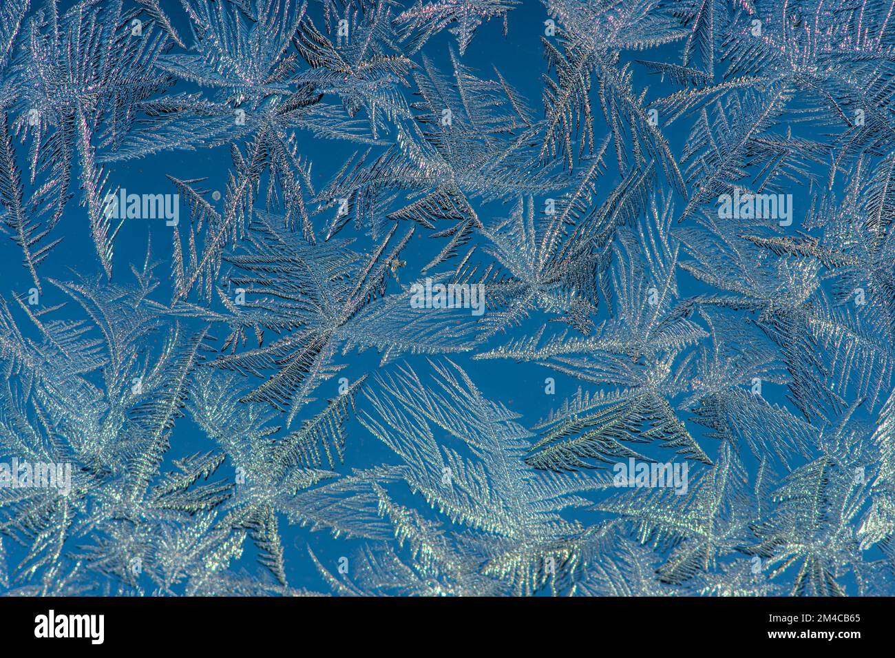 Frost image hi-res stock photography and images - Alamy