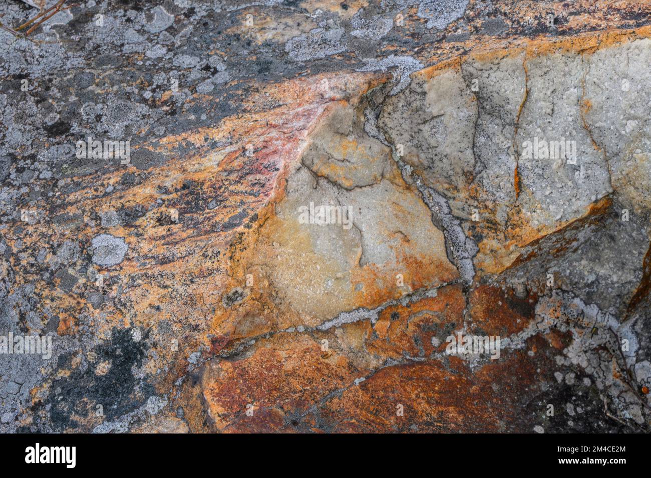Rock outcrop, lichen colonies, Greater Sudbury, Ontario, Canada Stock Photo