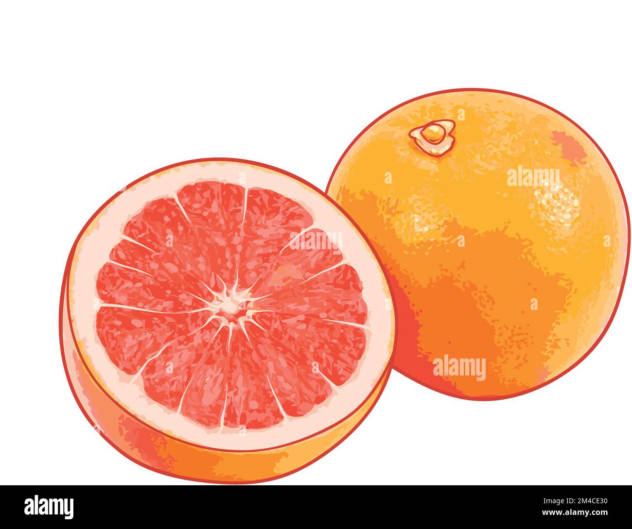 Toronja rellena hires stock photography and images Alamy