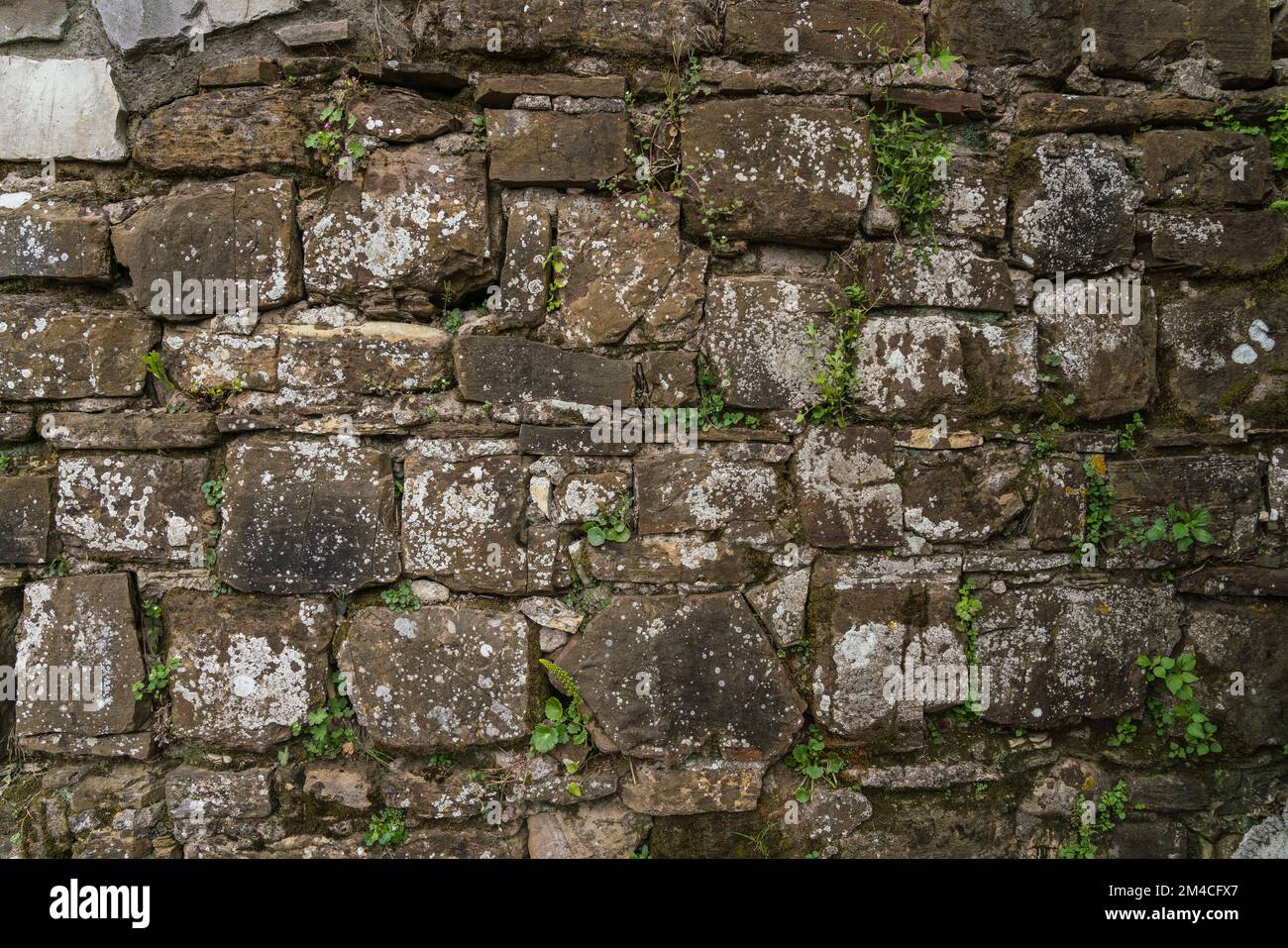 Old stone wall background texture Stock Photo - Alamy