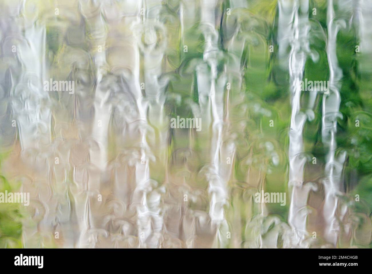 Early spring woodland as seen through a rainsoaked windshield, Greater Sudbury, Ontario, Canada