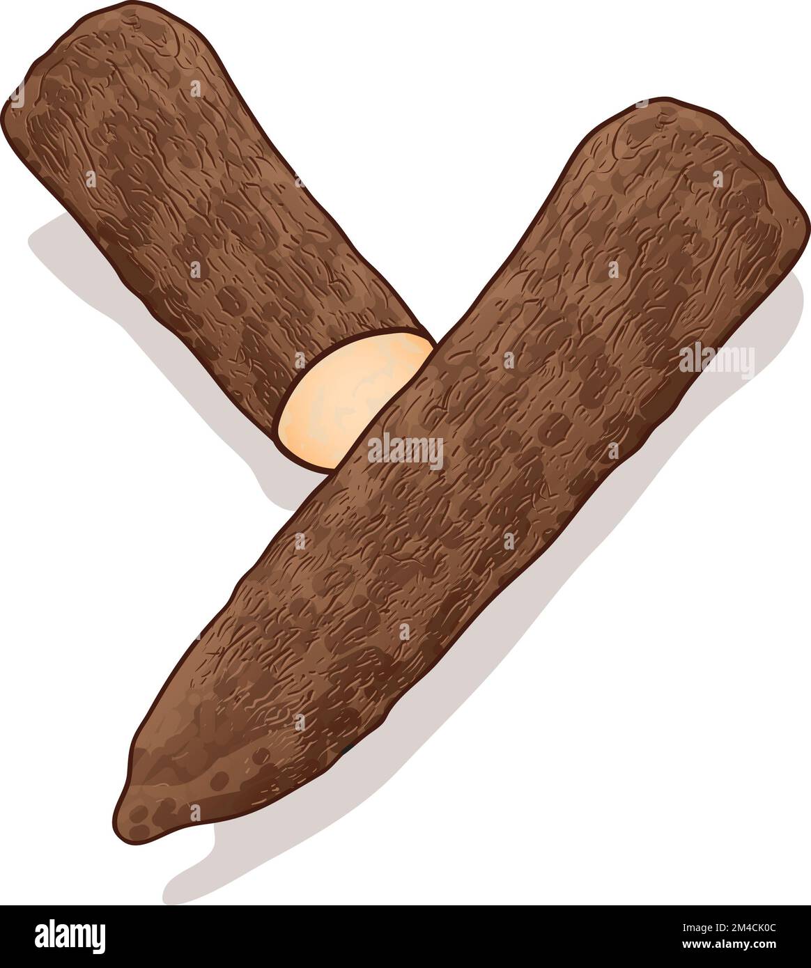 Art illustration two yams, one cut open, one whole Yam is the common name for species in the genus Dioscorea that form edible tubers and grow on vines Stock Photo
