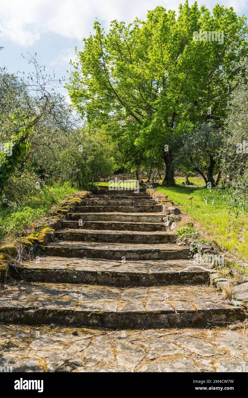 https://c8.alamy.com/comp/2M4CW7W/detail-of-a-beautiful-garden-in-florence-italy-tuscany-with-green-trees-and-old-stone-walls-and-steps-during-spring-time-2M4CW7W.jpg