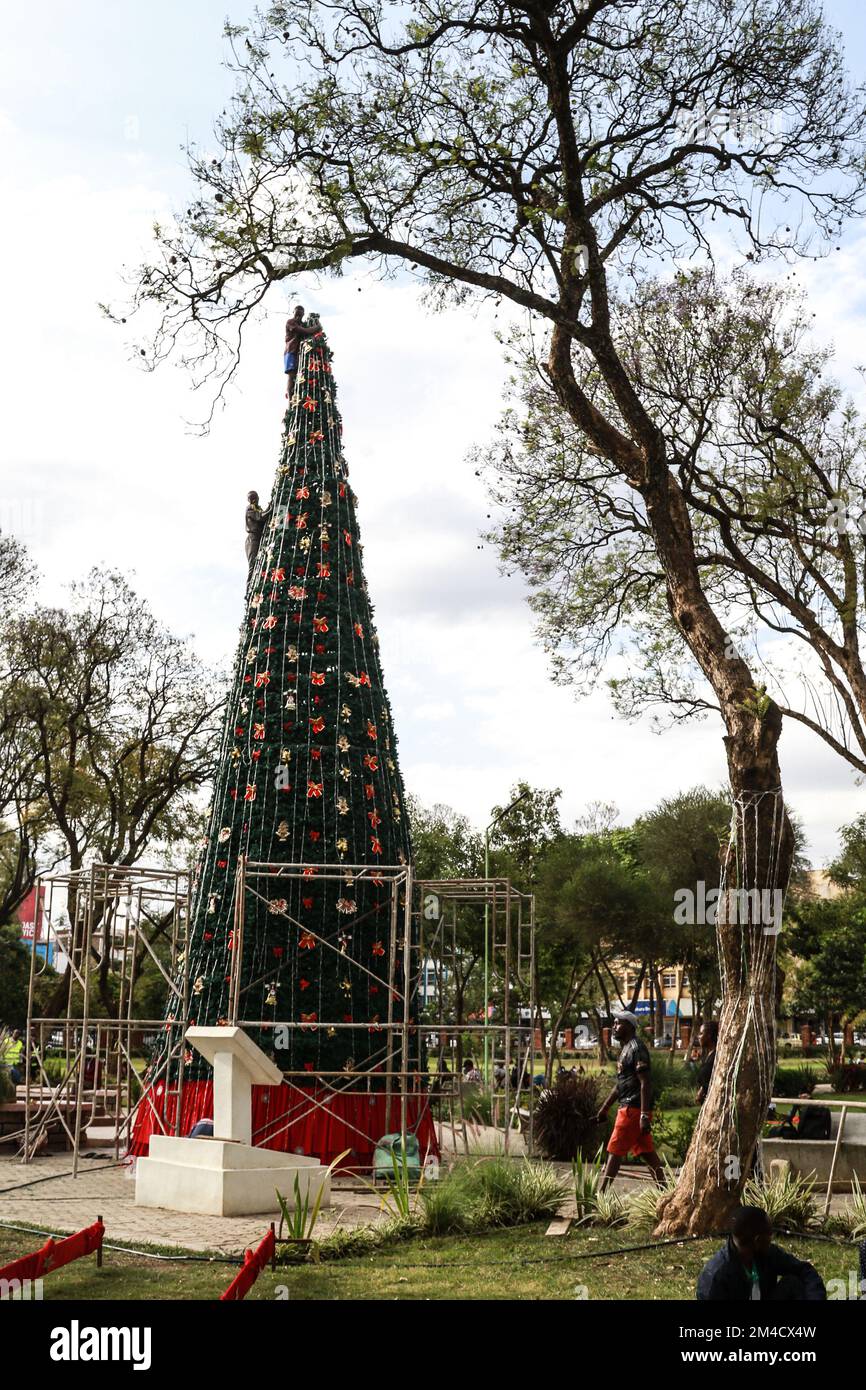 Workers put final touches to a tall synthetic Christmas tree installed at a recreational garden in Nakuru City ahead of the Christmas festive season. This year, Christmas is coming at a time when most parts of the country have been going through long months of dry weather and high cost of living. Stock Photo