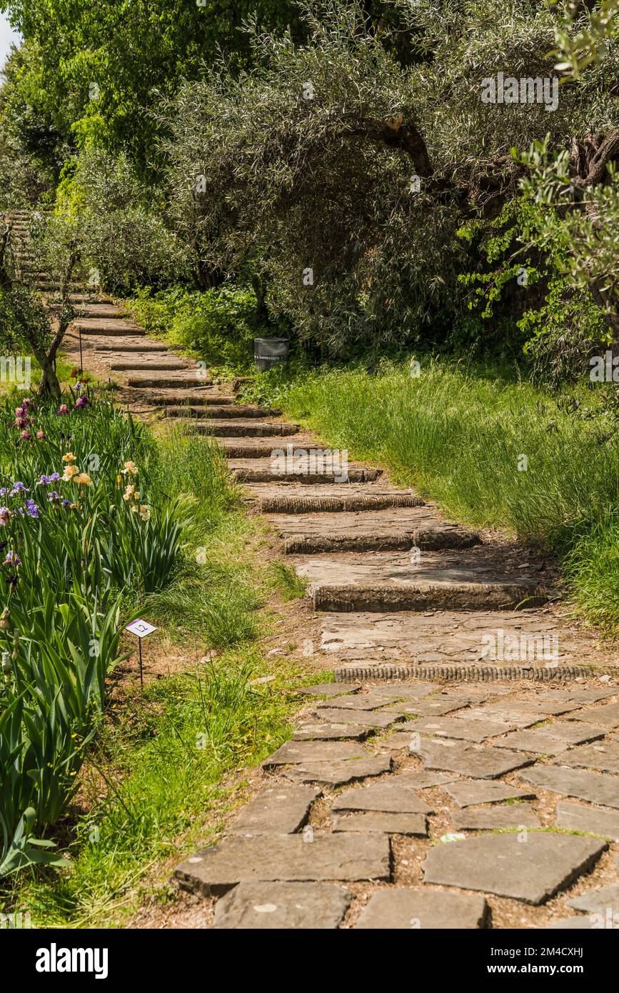 https://c8.alamy.com/comp/2M4CXHJ/detail-of-a-beautiful-garden-in-florence-italy-tuscany-with-green-trees-and-old-stone-walls-and-steps-during-spring-time-2M4CXHJ.jpg