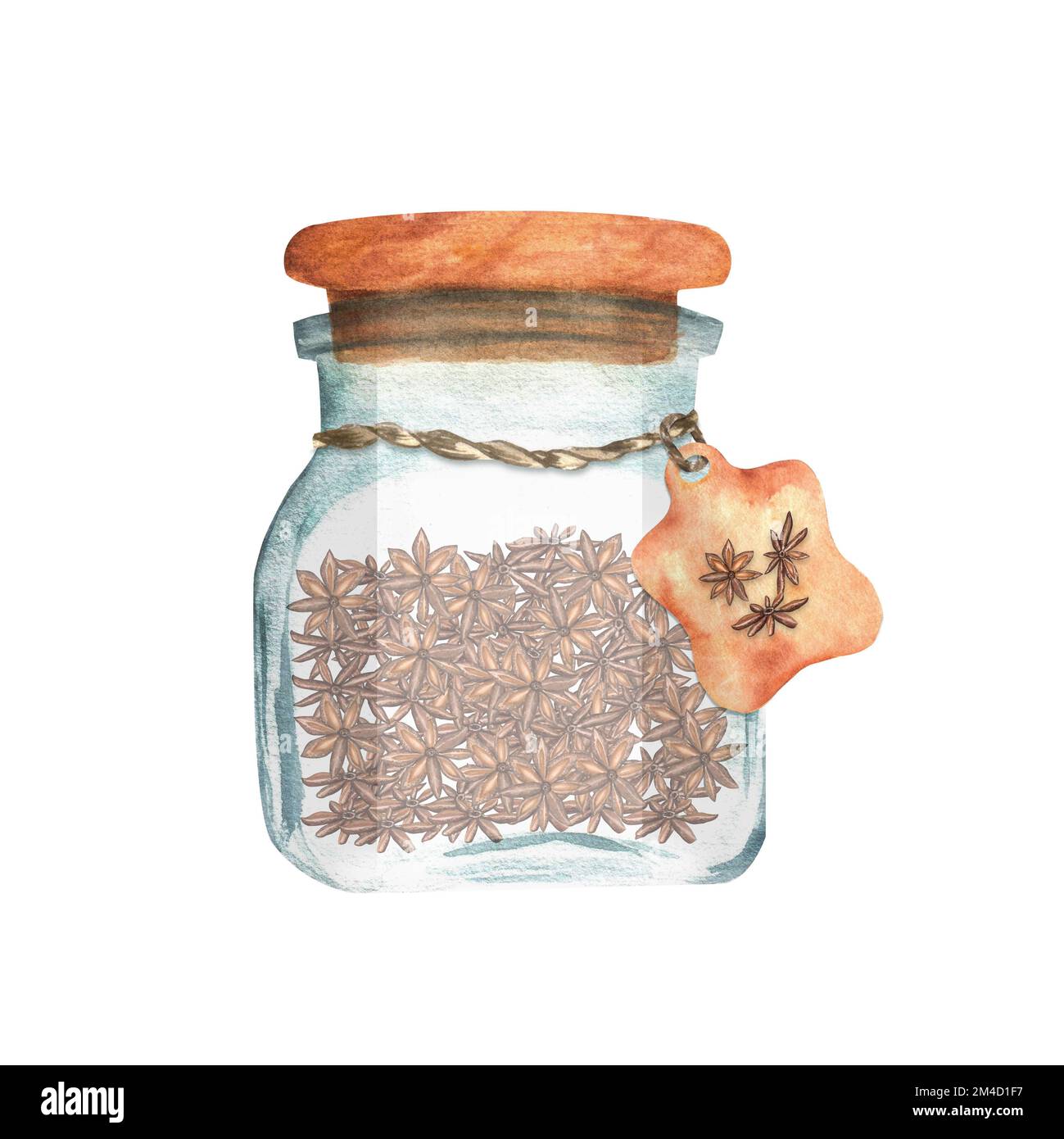 Hand-drawn watercolor glass jar with anise spice. This is a part of the big collection of indian spices Stock Photo