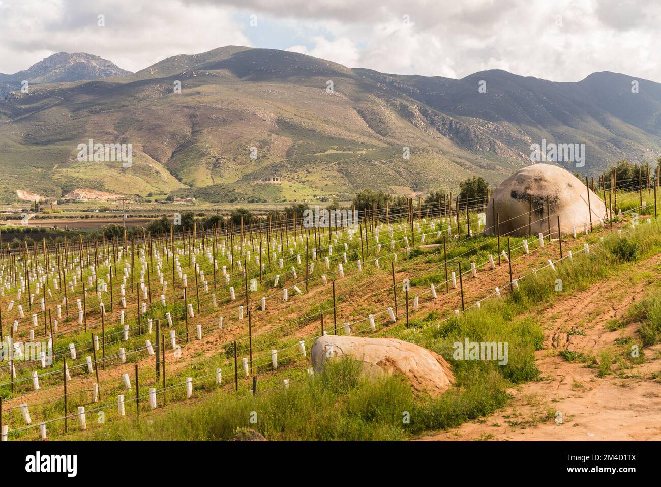 Wine region in Mexico Valle de Guadalupe Stock Photo Alamy