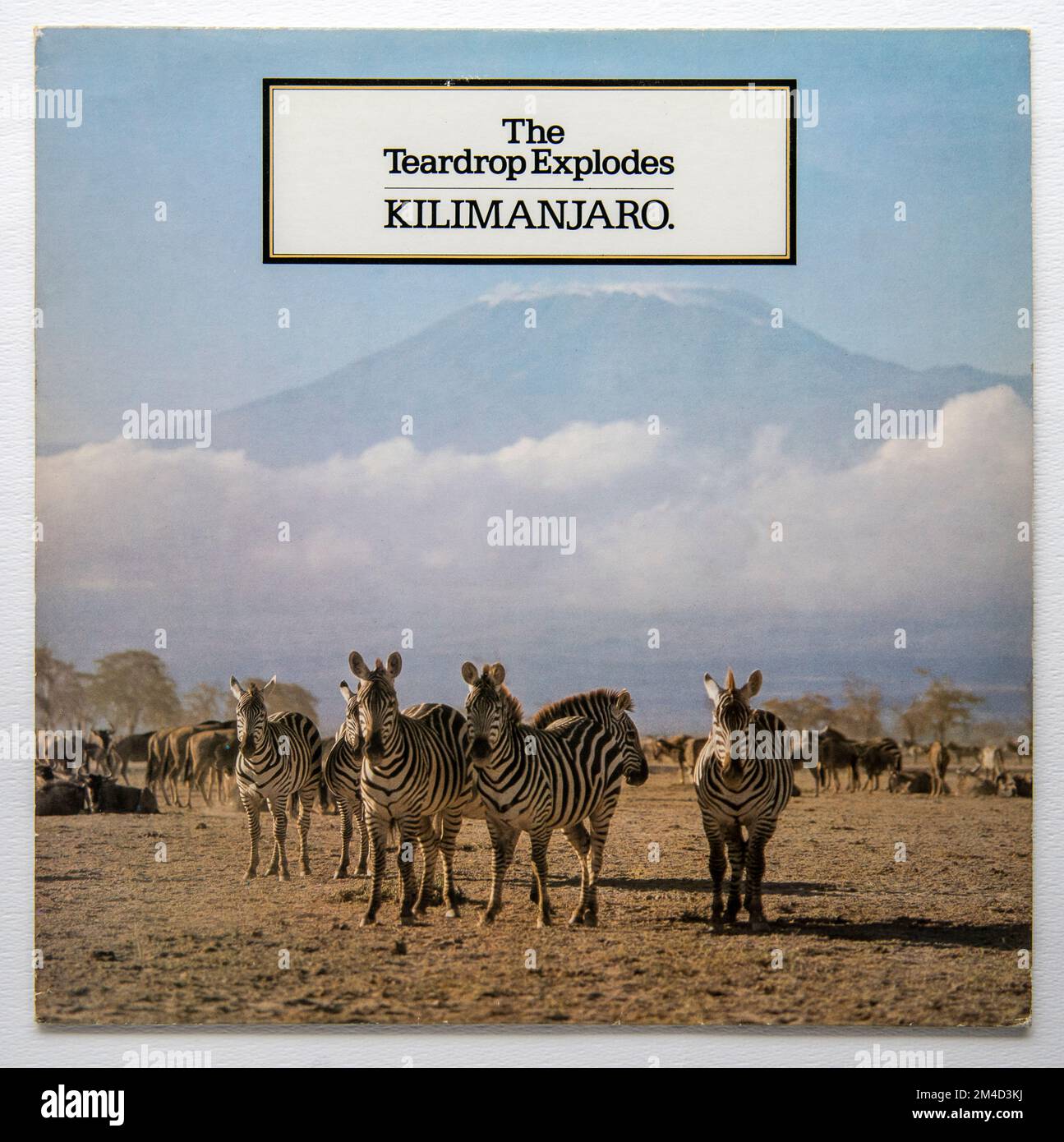 LP cover of Kilimanjaro, the debut album by The Teardrop Explodes, which was released in 1980 Stock Photo