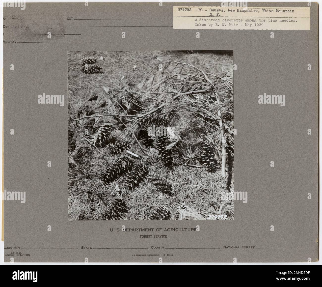 Forest Fires Causes New Hampshire. Photographs Relating to National