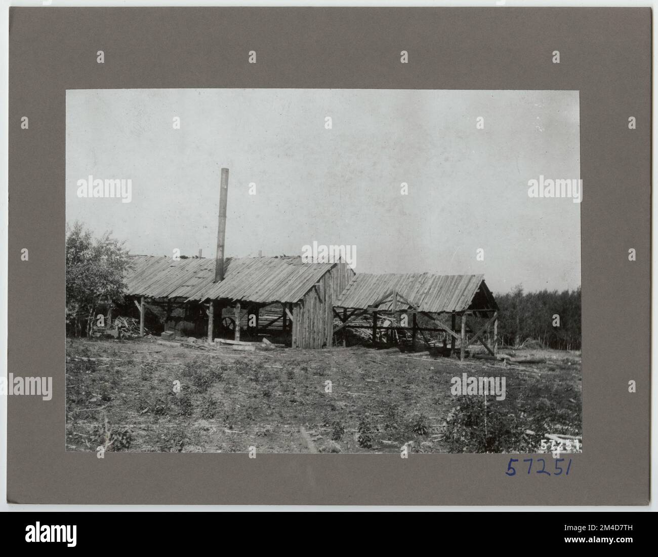 Large Sawmills Alabama. Photographs Relating to National Forests