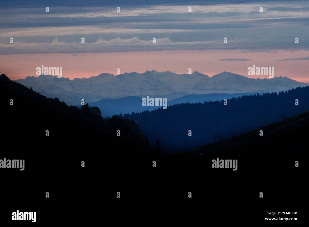 Ligne animaux hi-res stock photography and images - Alamy