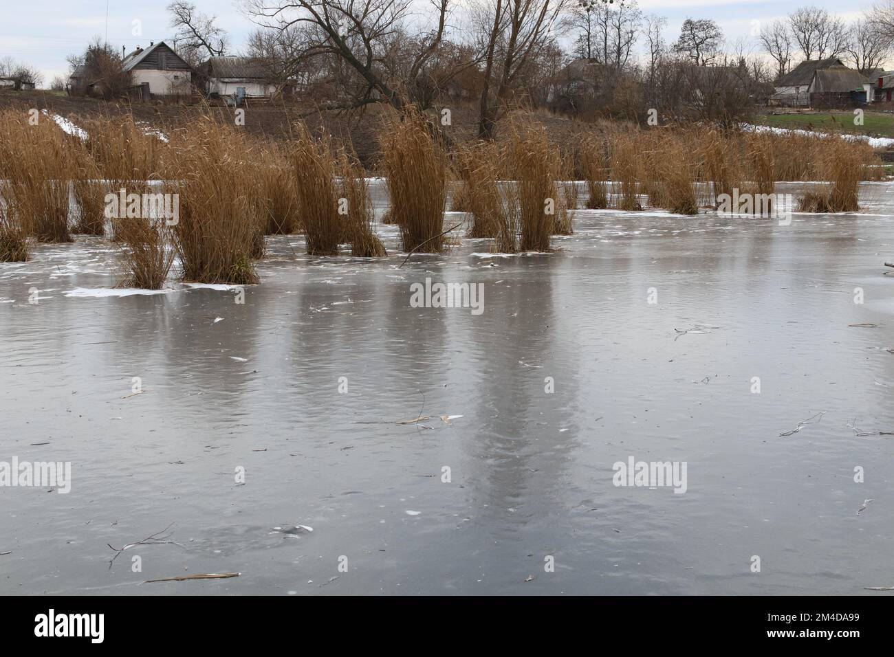 View of a frozen lake with smooth ice. Ukrainian landscapes Stock Photo