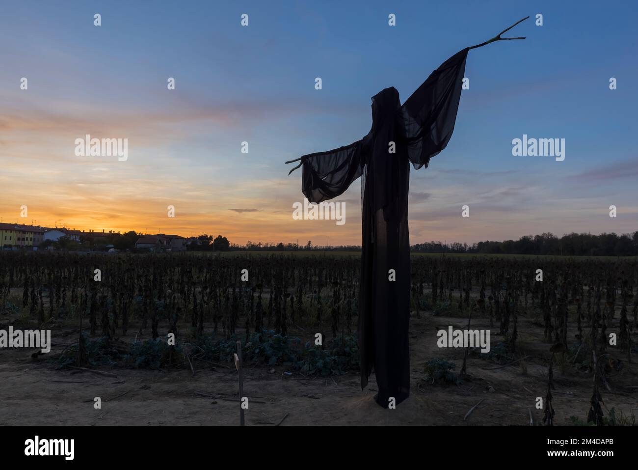 Ghost on a field during sunset, no people are visible Stock Photo - Alamy